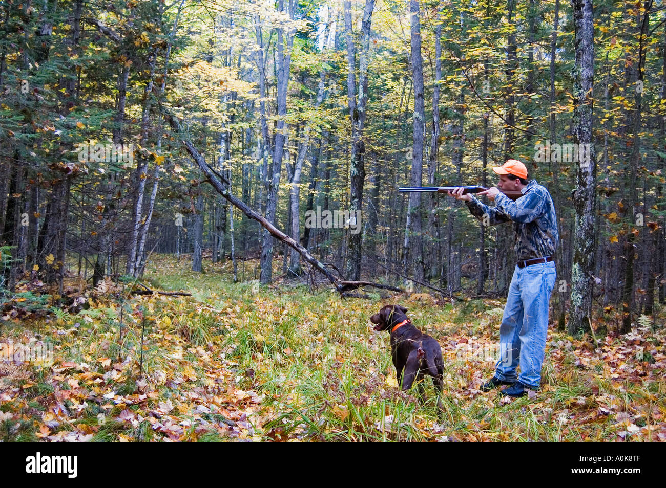 Fall grouse hunt hires stock photography and images Alamy