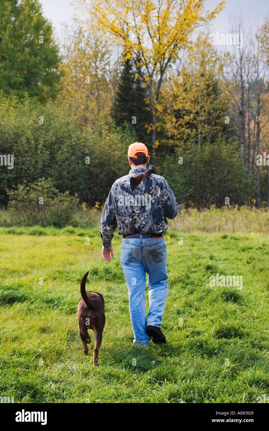 Upland Bird Hunter With Shotgun Over His Shoulder Chocolate Labrador Retriever Walking At Heel Walking Away From Camera Into For Stock Photo