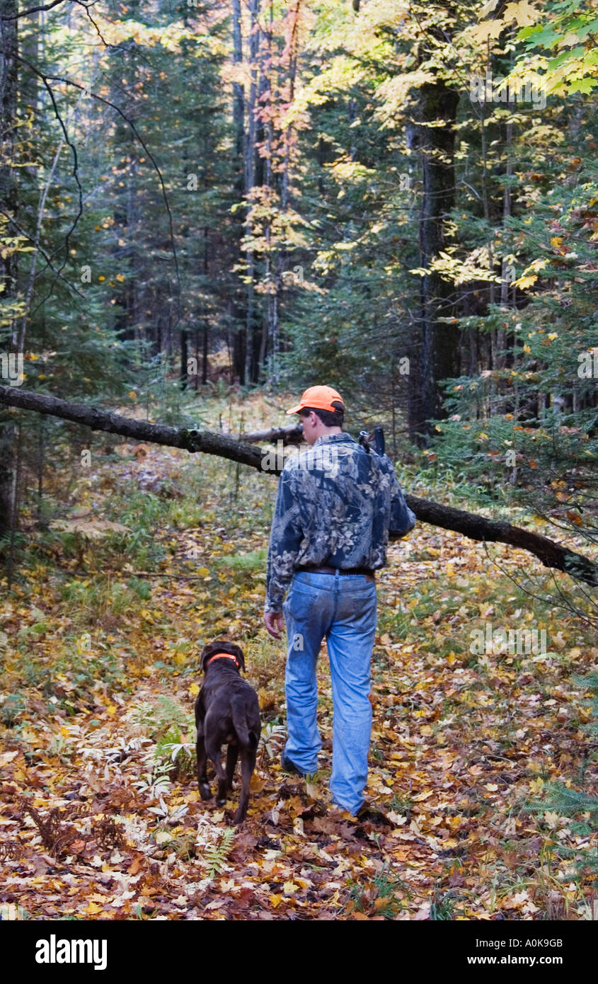 Upland Bird Hunter With Shotgun Over His Shoulder Chocolate Labrador