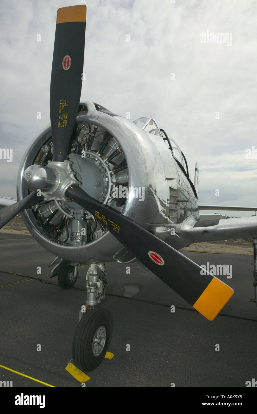 T28 Trojan trainer aircraft sits on the tarmac, closeup view of