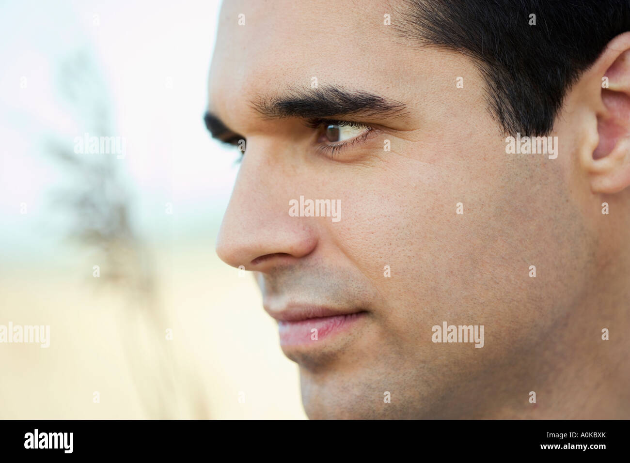 face of young man in profile Stock Photo