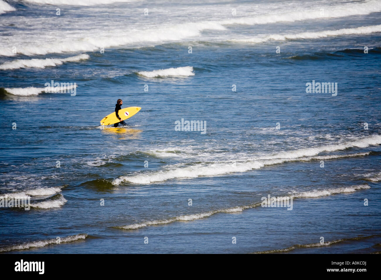 Surfer leaving the water Wickanninish Beach west coast of Vancouver island Canada Stock Photo