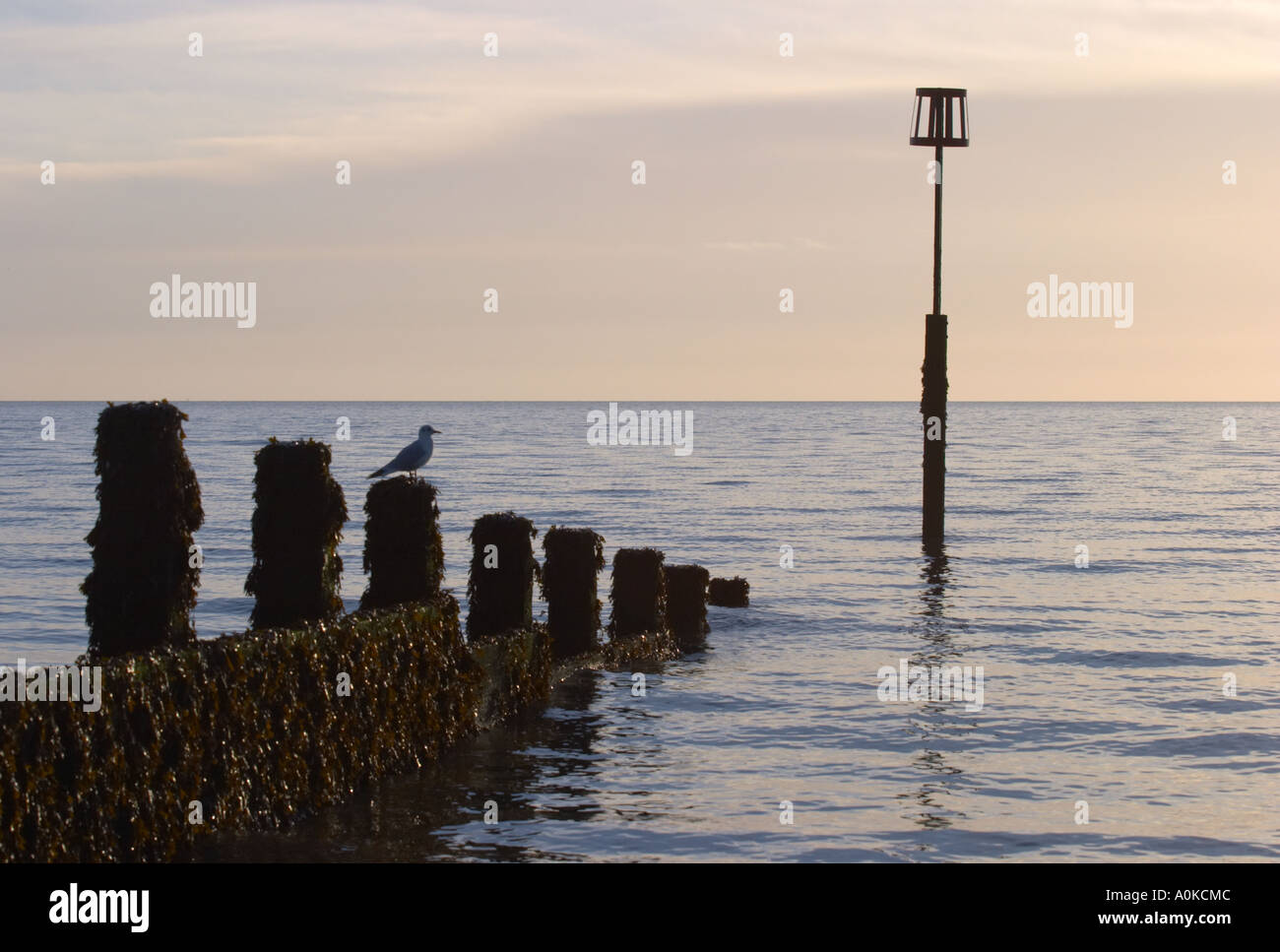 Dovercourt Harwich Essex Stock Photo