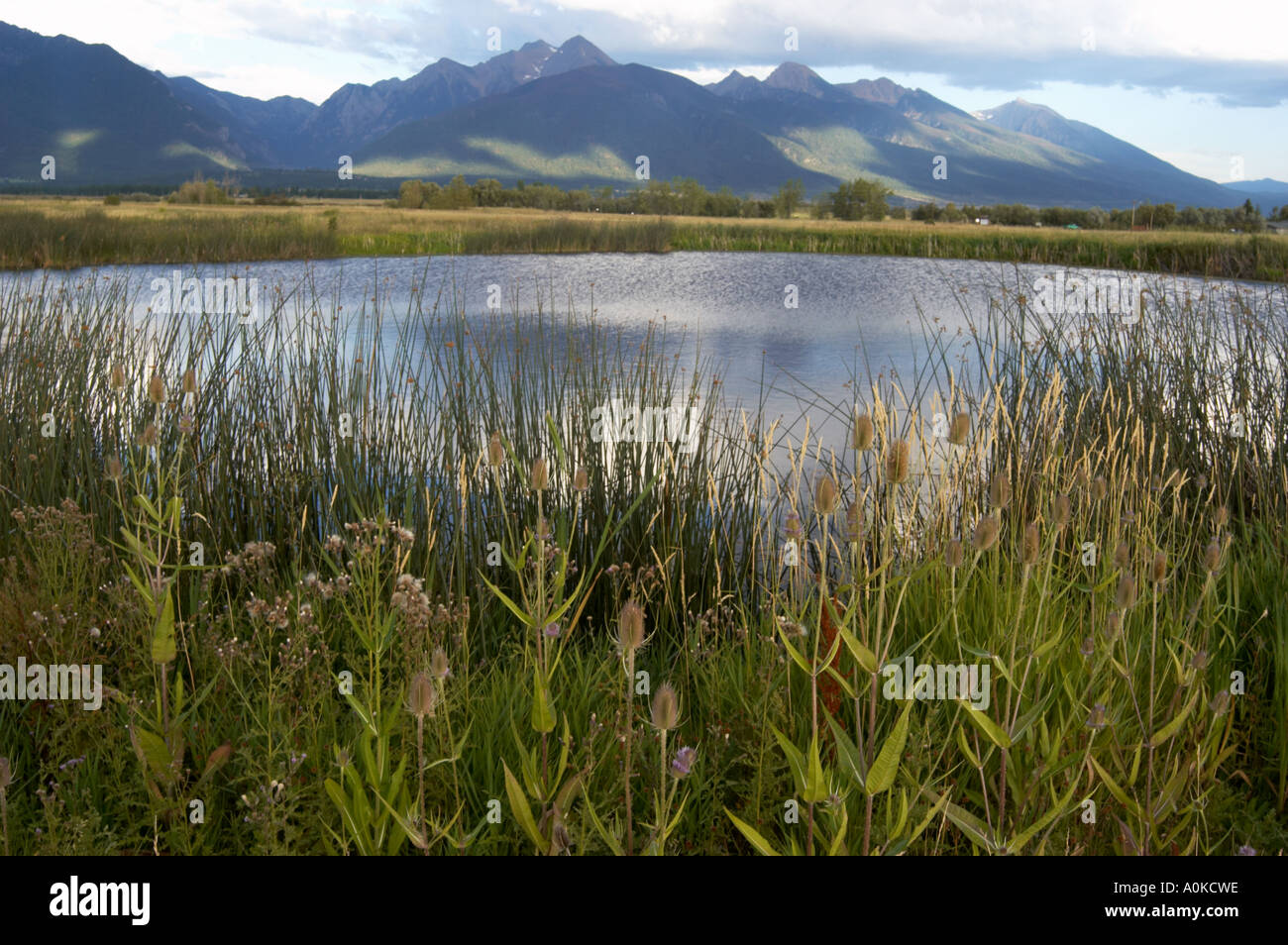 Rural Montana United States Stock Photo Alamy