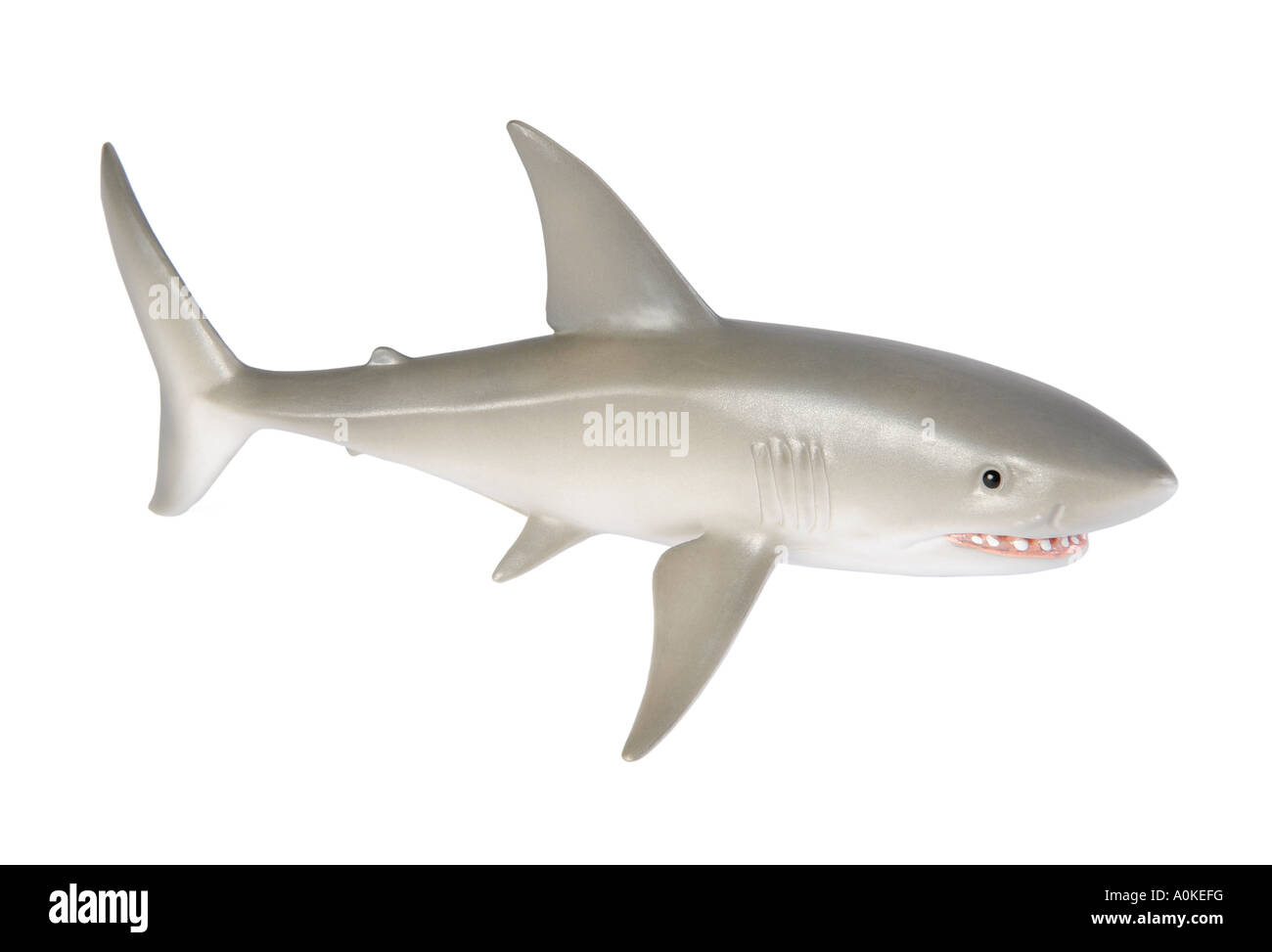 plastic shark toy