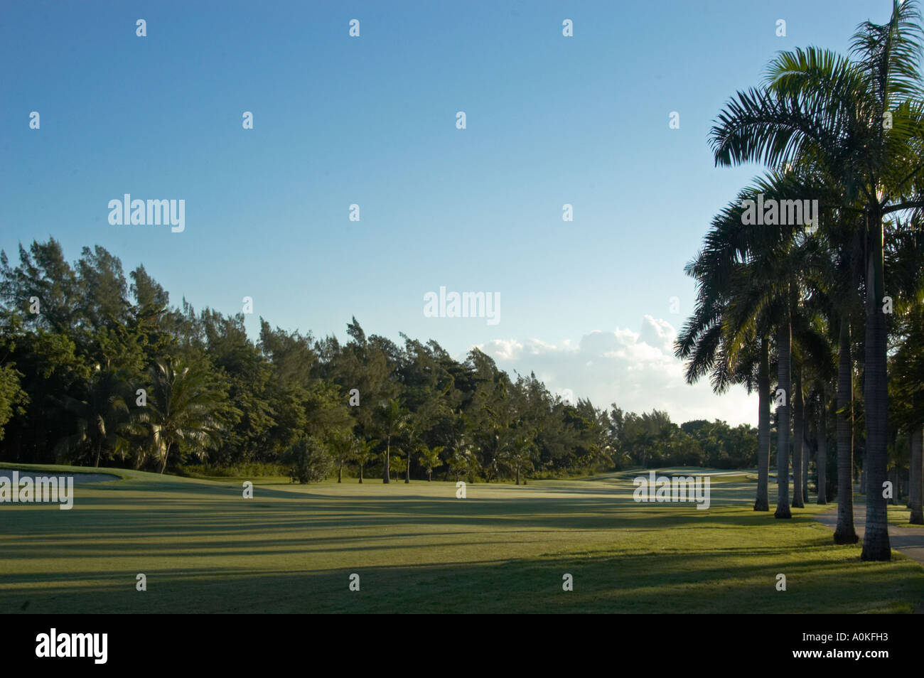 Half Moon Golf Resort Spring Farm Montego Bay Jamaica Stock Photo Alamy
