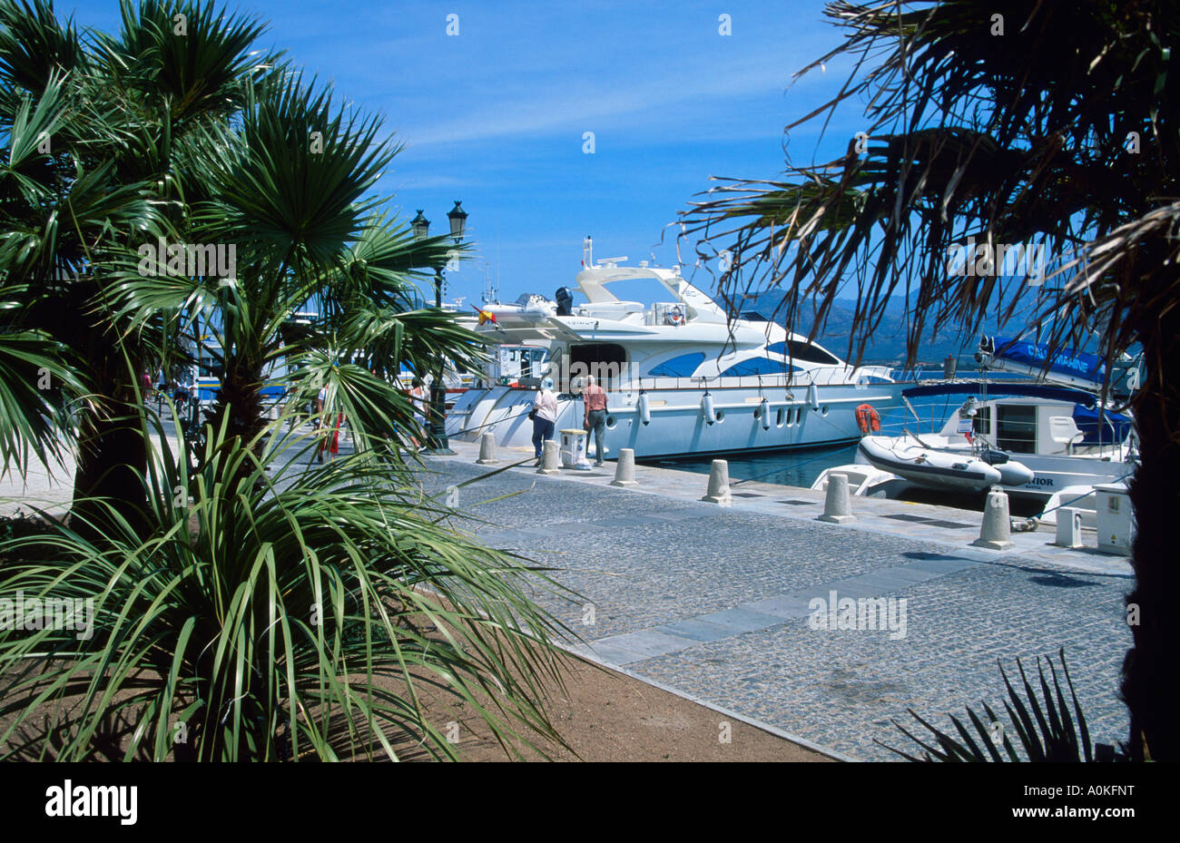 anchoring yachts in harbor. calvi, quay landry, balagne, corsica, france, europe Stock Photo Alamy