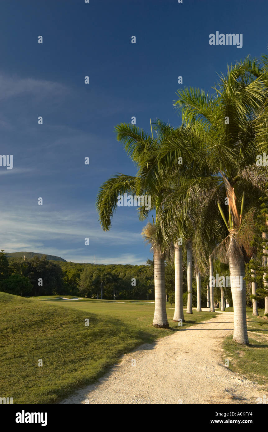 Half Moon Golf Resort Spring Farm Montego Bay Jamaica Stock Photo Alamy