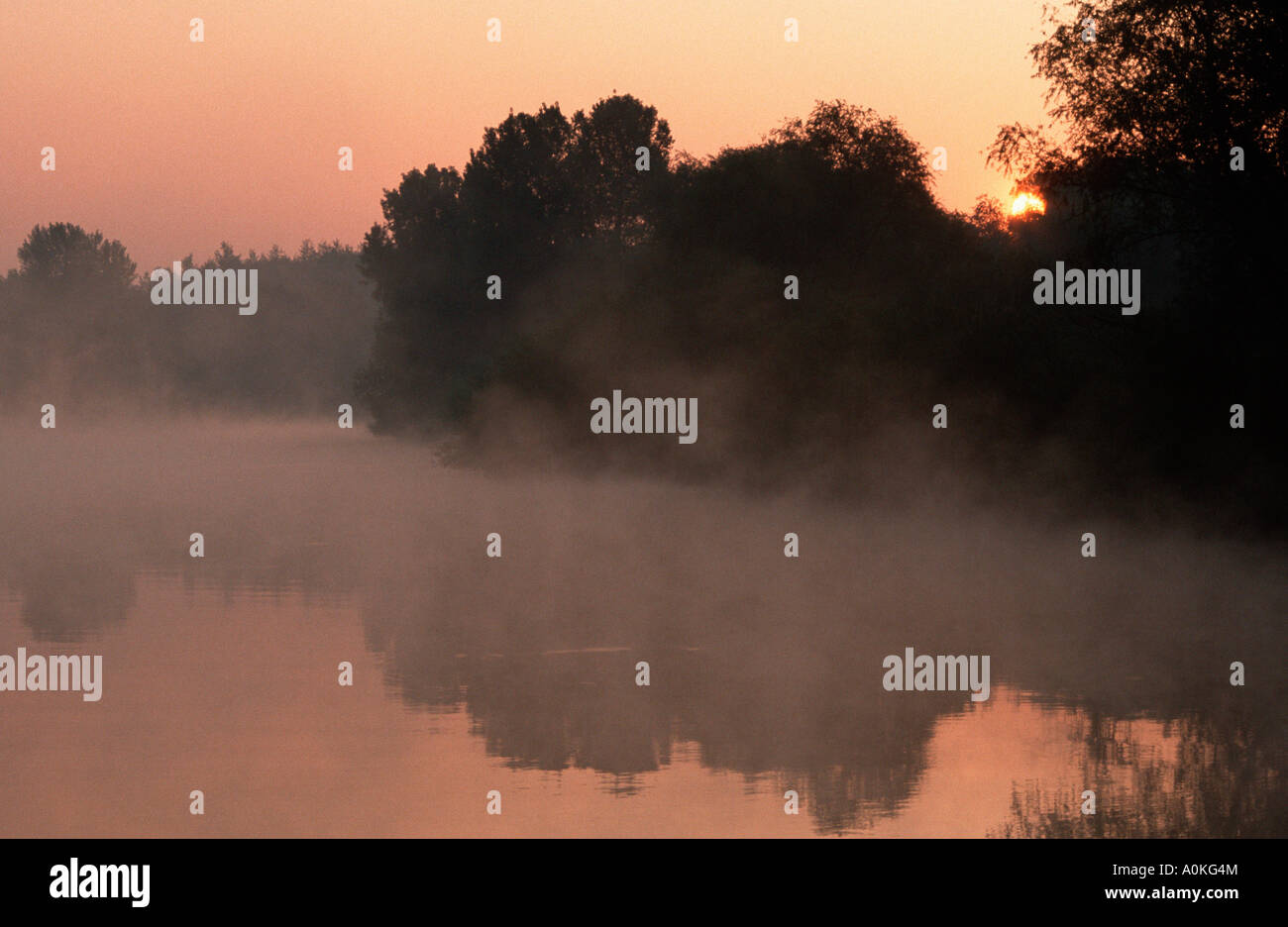 River In Morning Haze Lippe North Rhine Westphalia Germany Stock Photo Alamy River In Morning Haze Lippe North Rhine Westphalia Germany Stock Photo Alamy