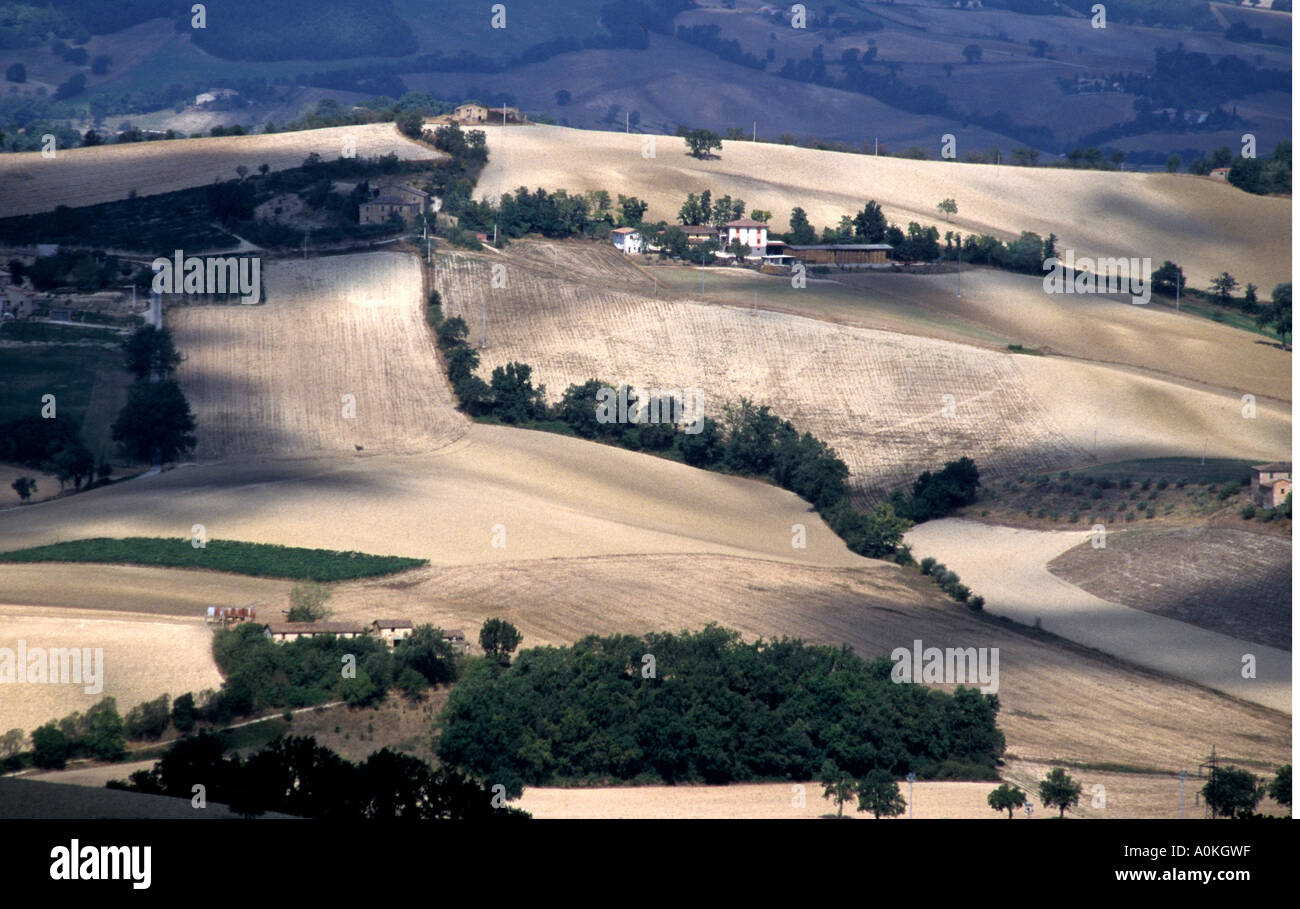 The rolling cultivated landscape of the Le Marche province Italy Stock Photo