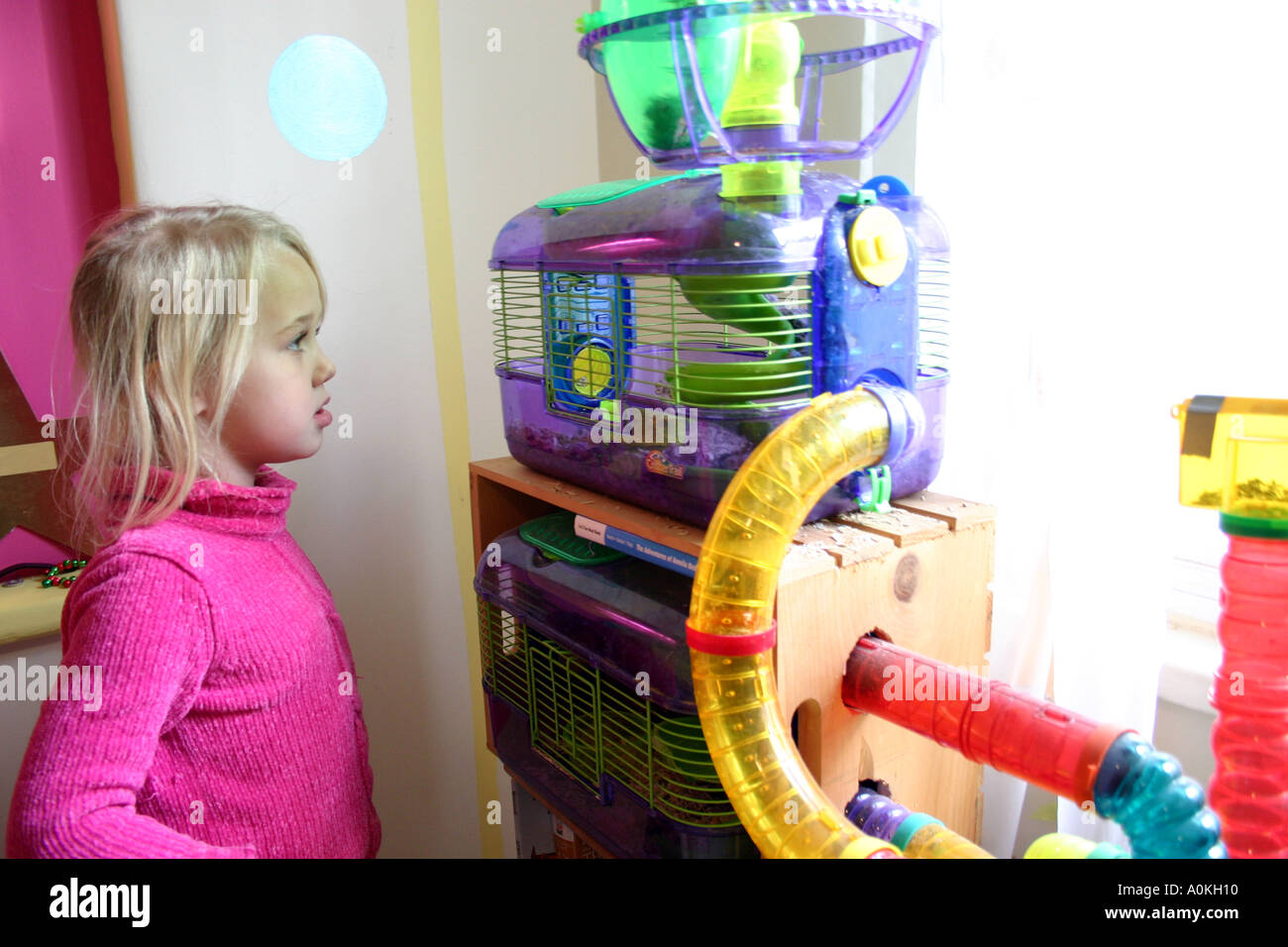 Visual Reference: Seven Year Old Girl Watching Her Hamster Play In Cage