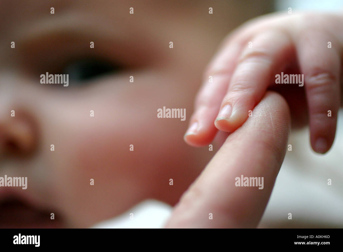 newborn baby grasping adult finger Stock Photo