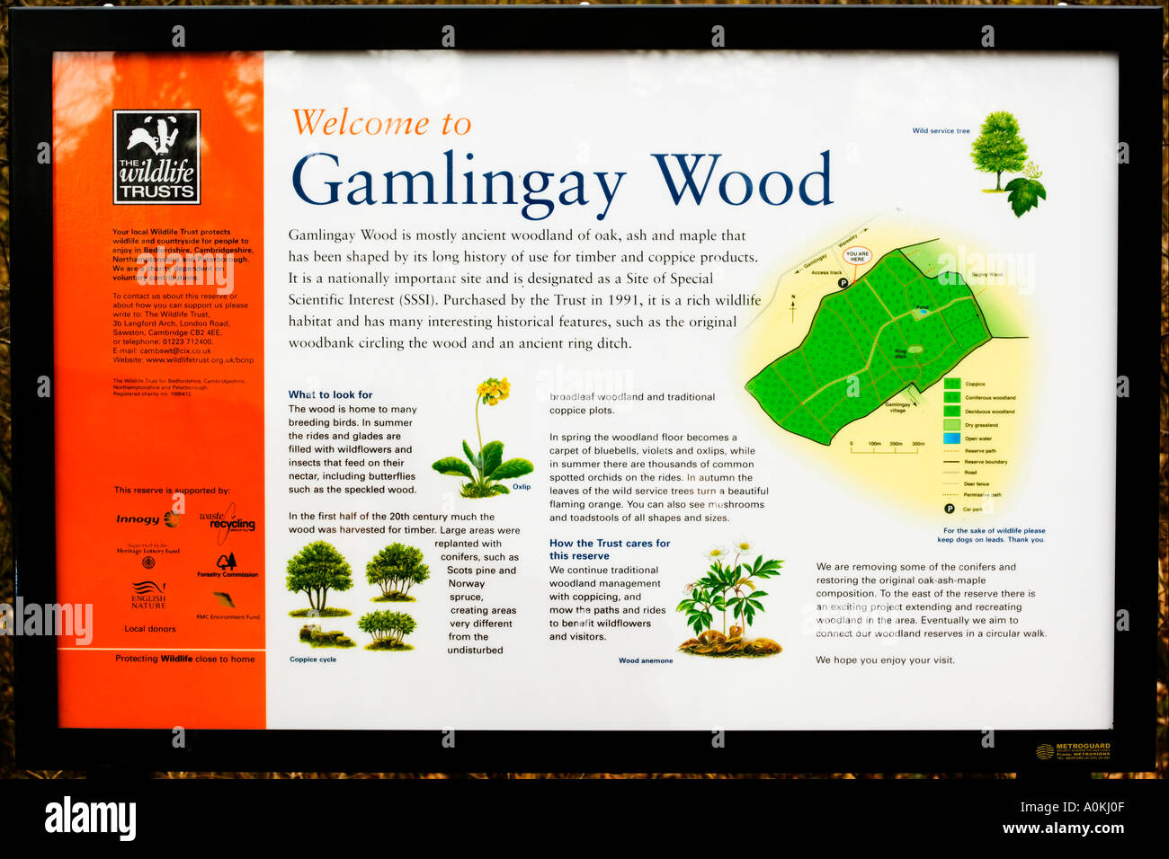 Gamlingay wood information sign by entrance gate Stock Photo Alamy