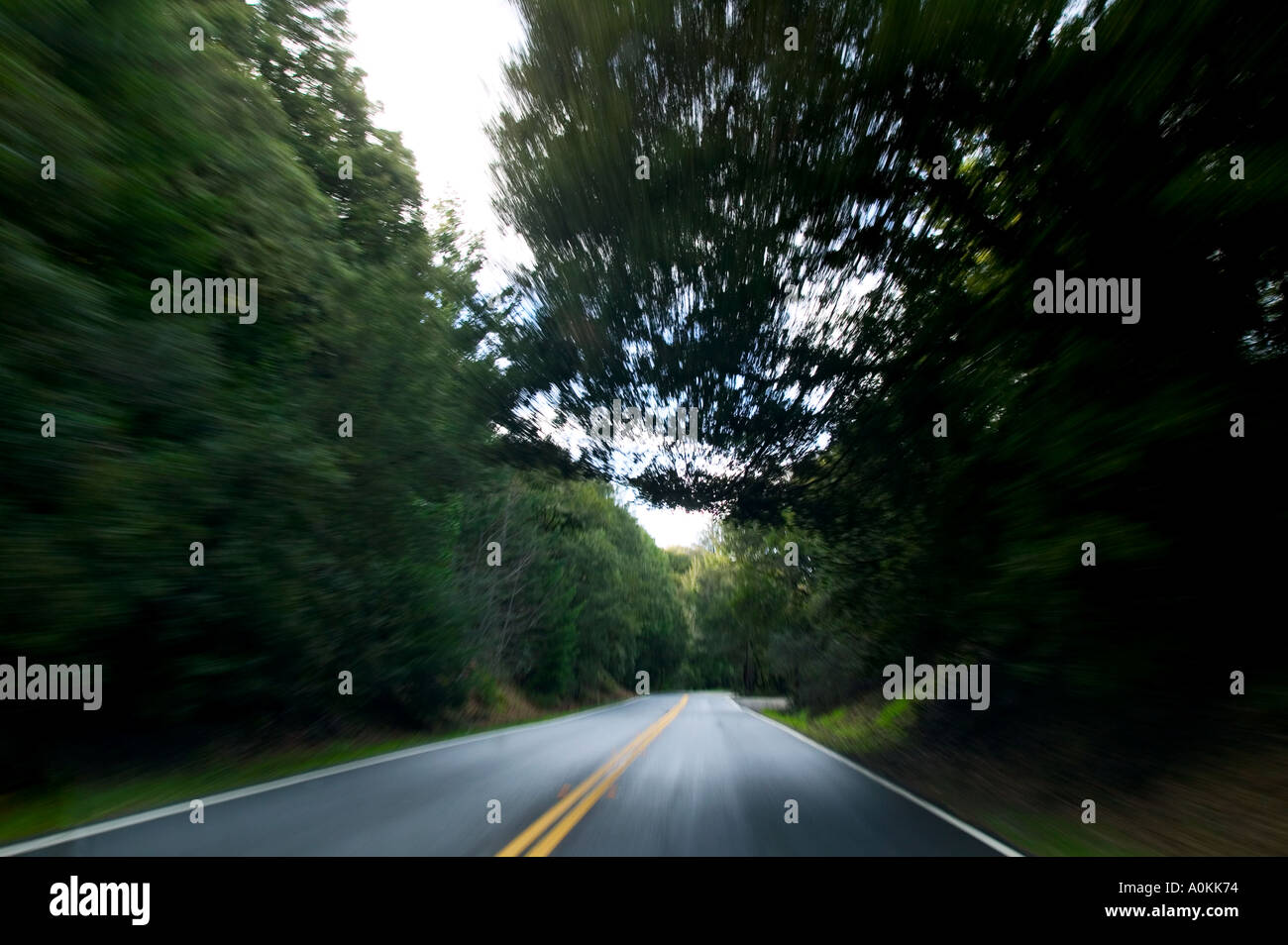 Blurred rural road through trees Stock Photo