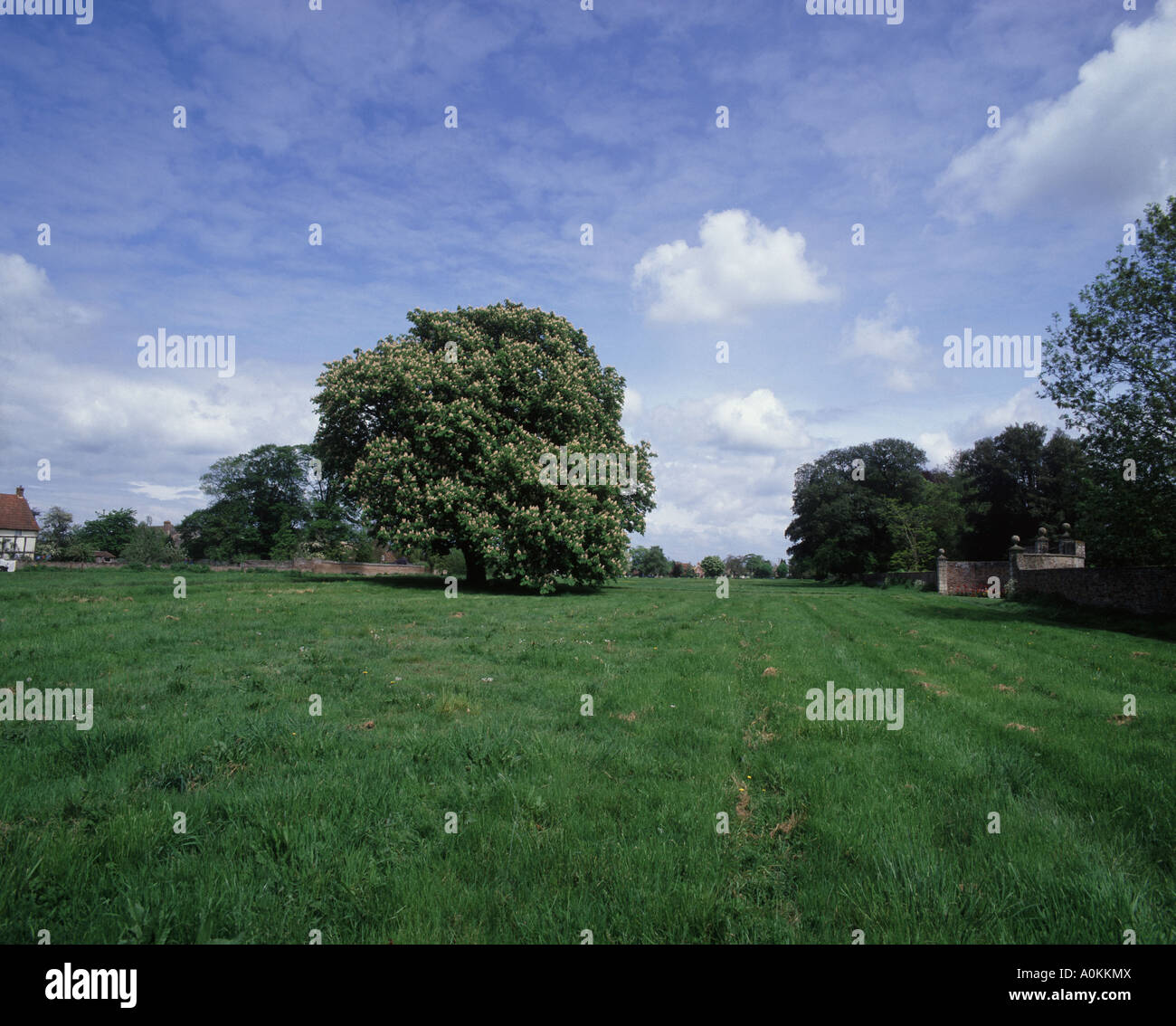 The Largest village green in England, at Frampton on Severn Stock Photo