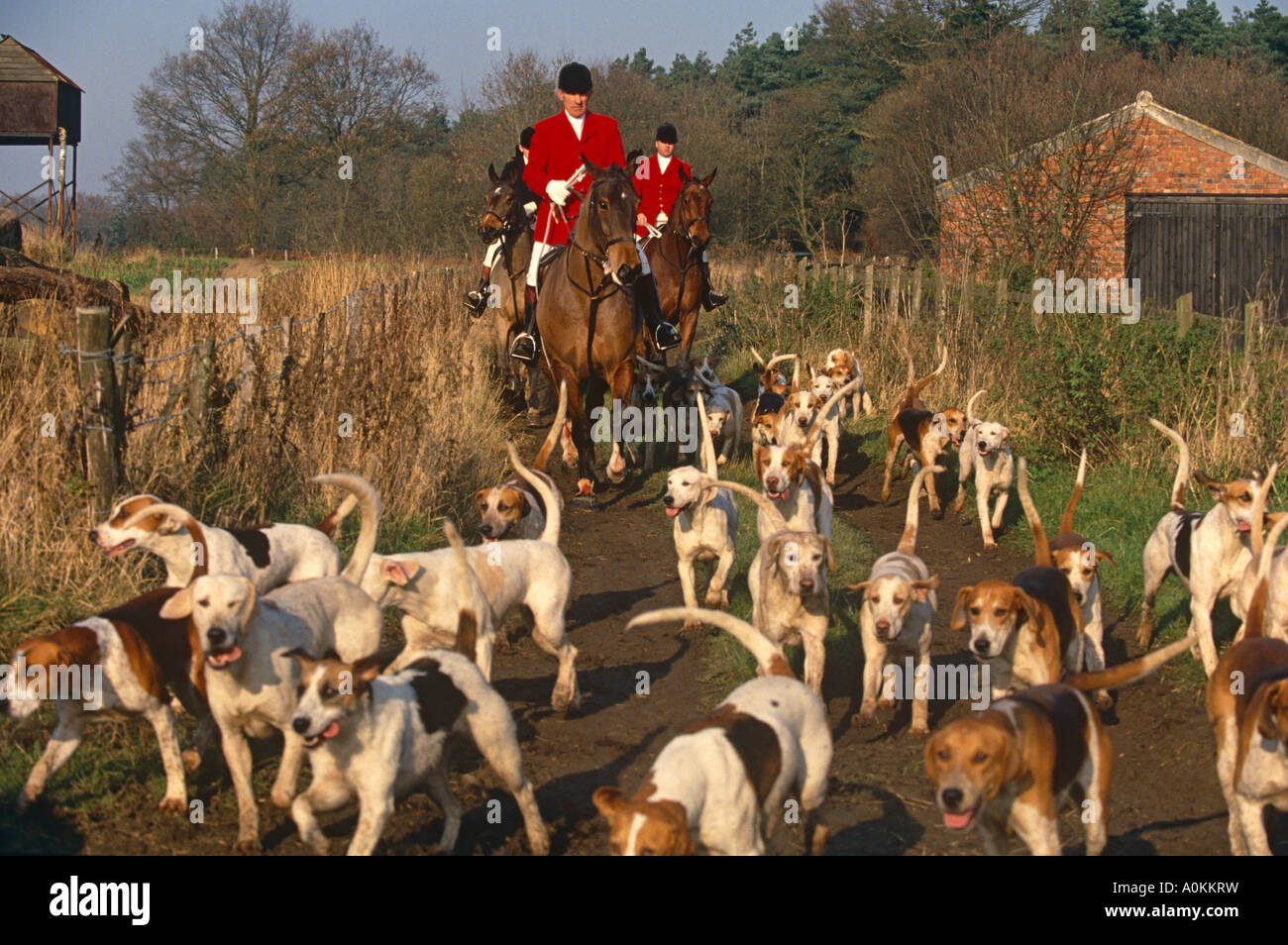 Foxhunting The Quorn hunt in Leicestershire England Stock Photo