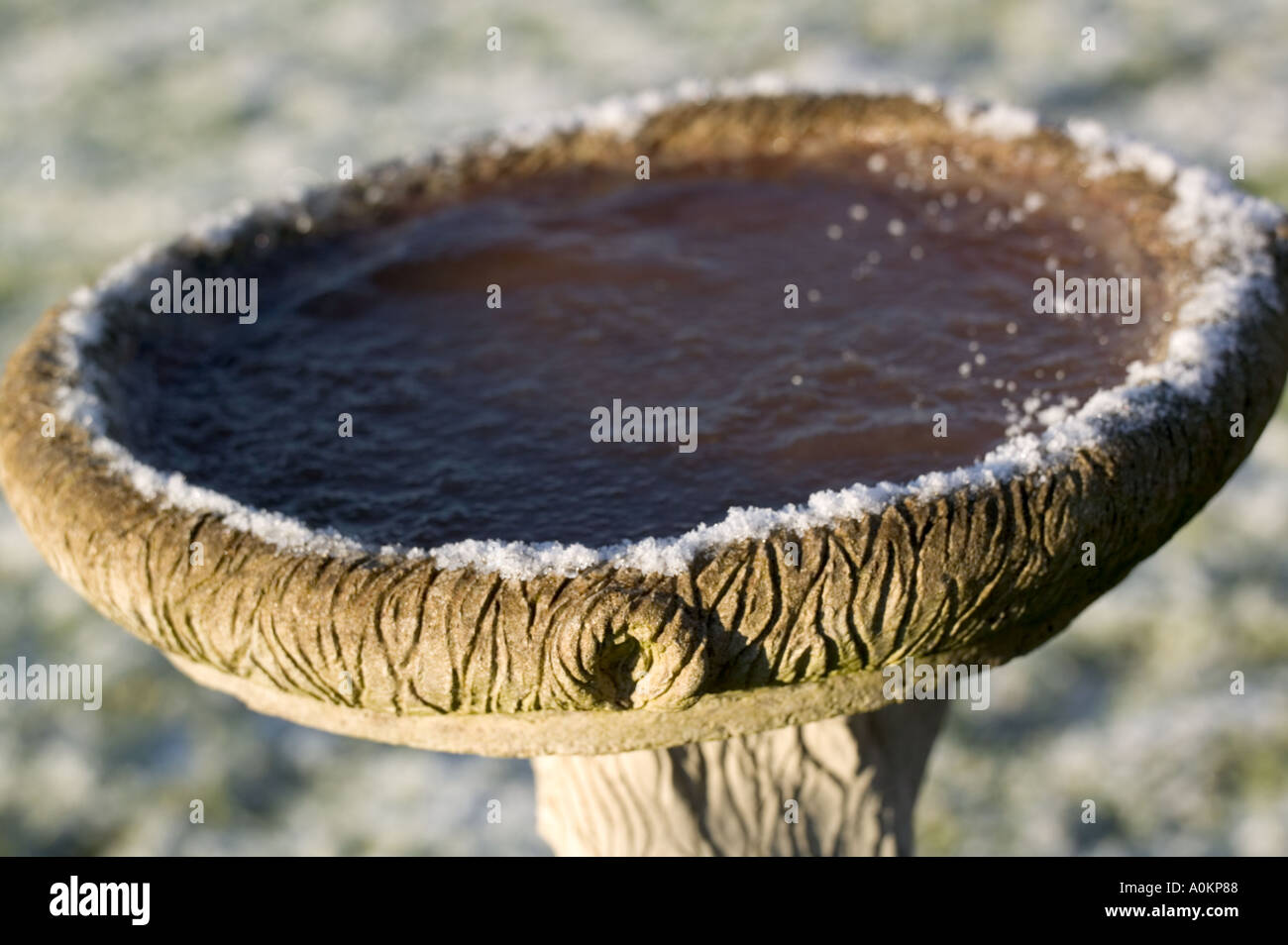 water-in-bird-bath-frozen-over-stock-photo-alamy