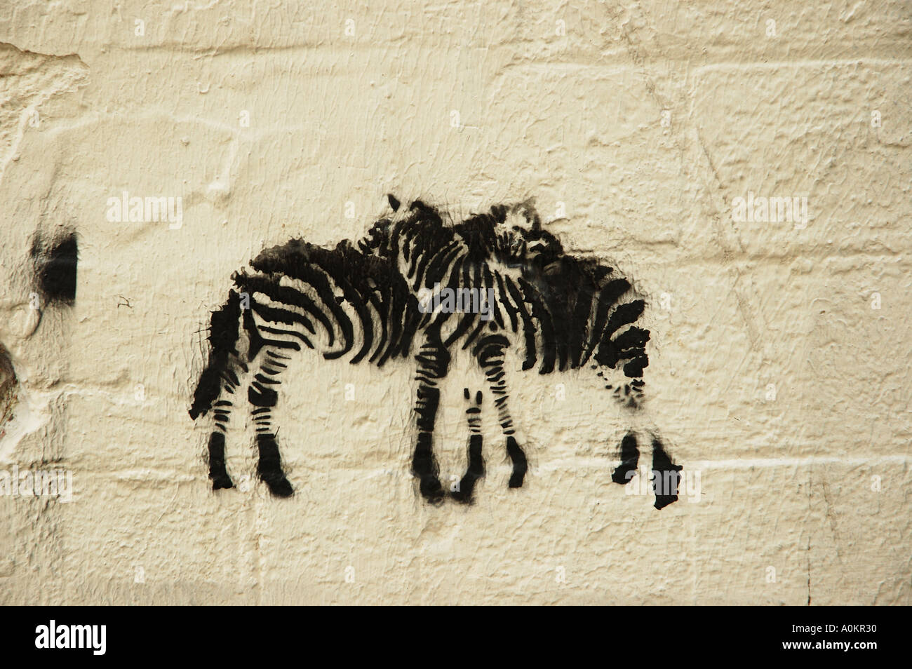 stencil art on urban wall street Brisbane Queensland Australia dsca