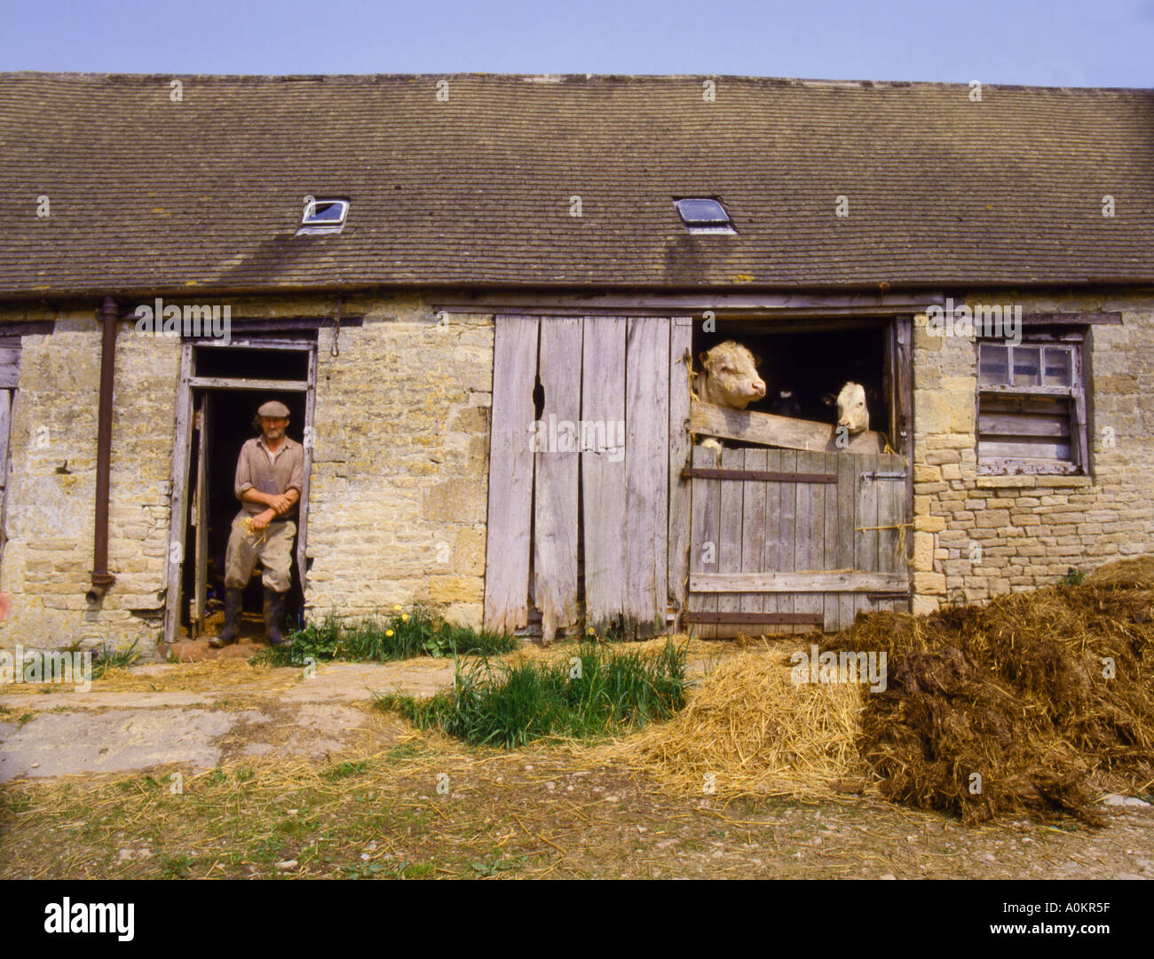 All Muck Mystery Farming Neglected Farmyard Gloucestershire England Let