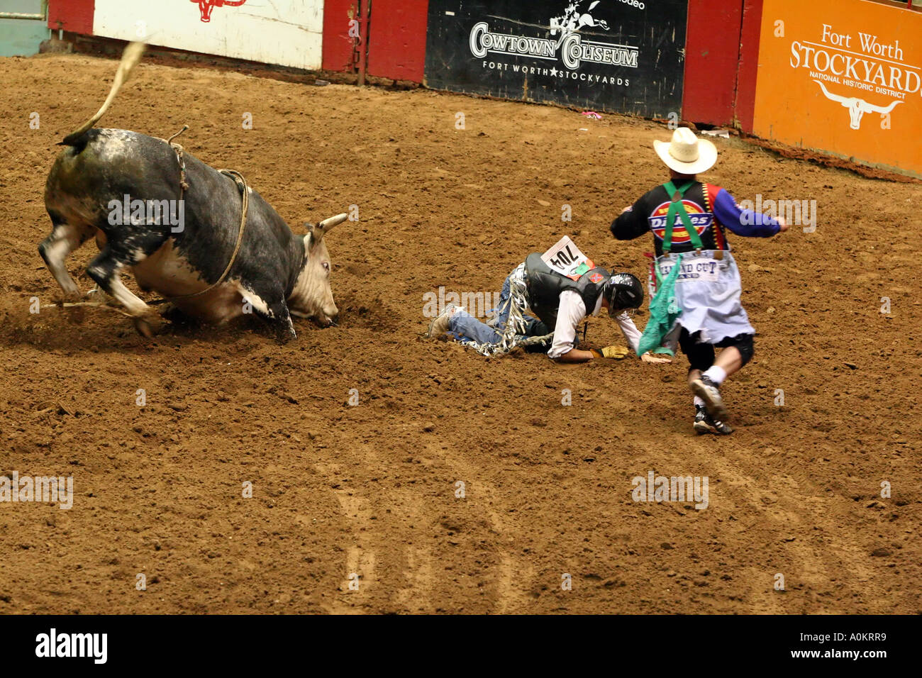A bull rider is bucked off a rodeo bull Stock Photo Alamy