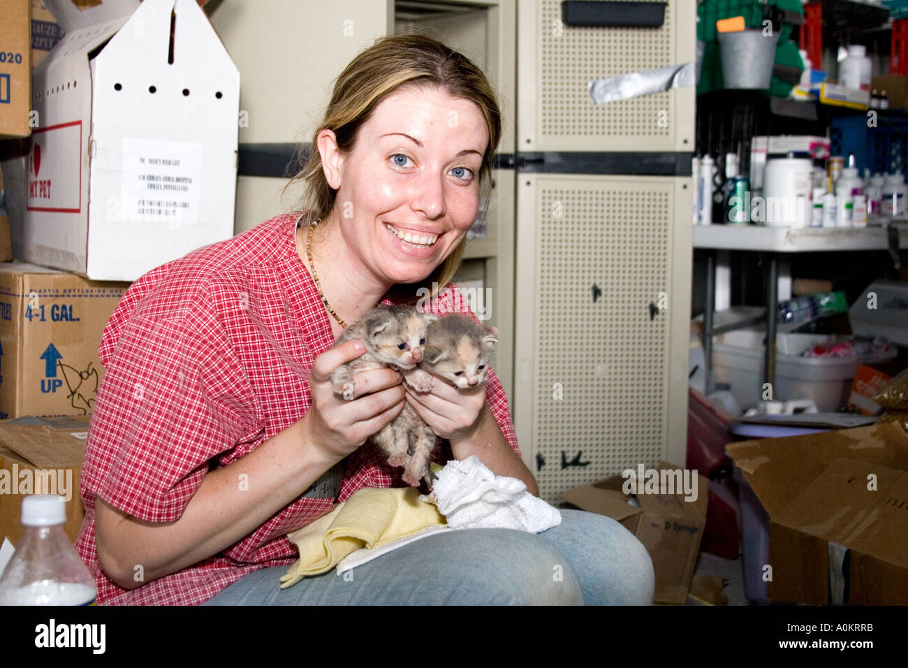 A volunteer holds up two tiny kittens in an emergency animal shelter run by Noahs Wish in Slidell Louisiana Stock Photo