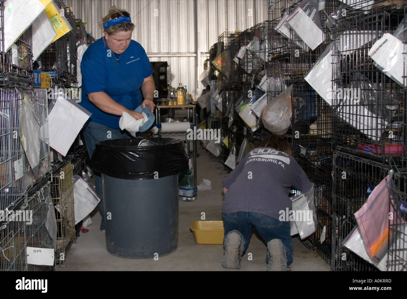 Volunteers clean cages in an emergency animal shelter run by Noah s Wish in Slidell Louisiana after Hurricane Katrina Stock Photo