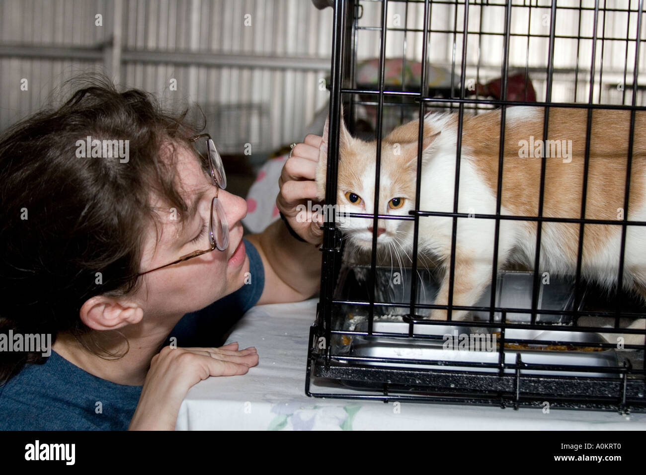A volunteer pets a cat in an emergency animal shelter run by Noahs Wish in Slidell Louisiana after Hurricane Katrina Stock Photo