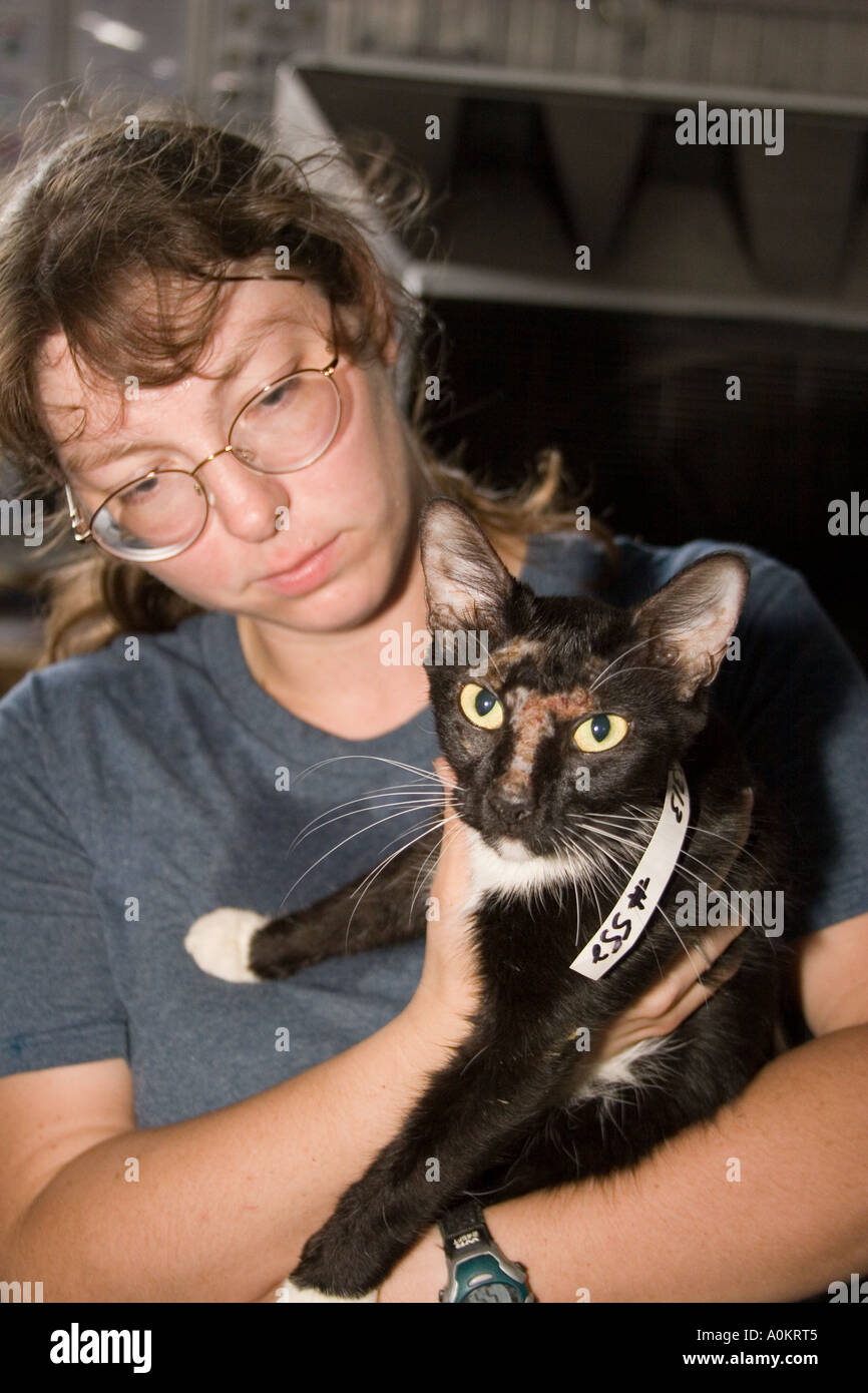 A Noah s Wish volunteer holds a cat Stock Photo