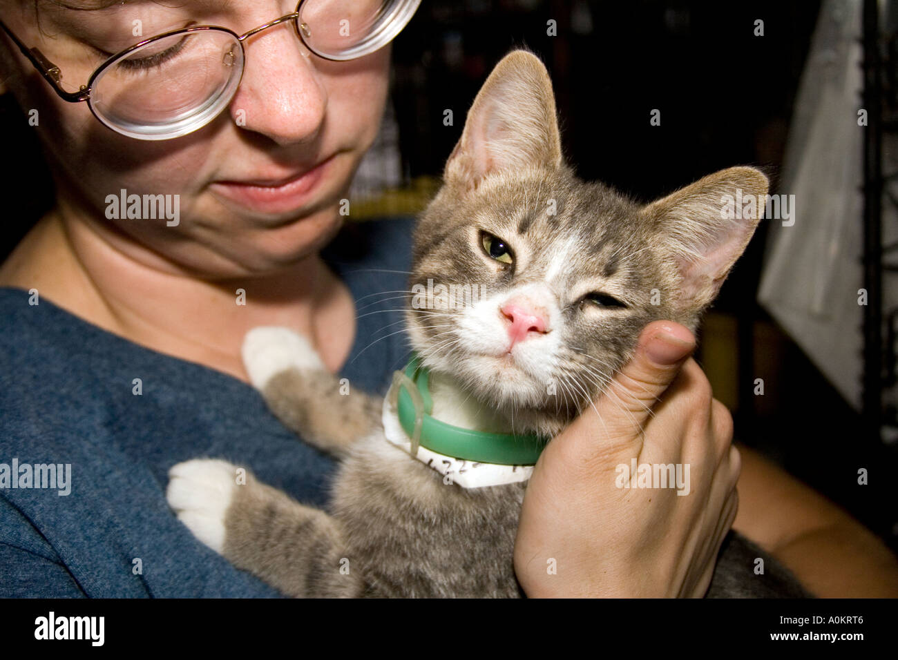 A volunteer holds a cat in an animal shelter during the aftermath of Hurricane Katrina in Slidell Louisiana Stock Photo