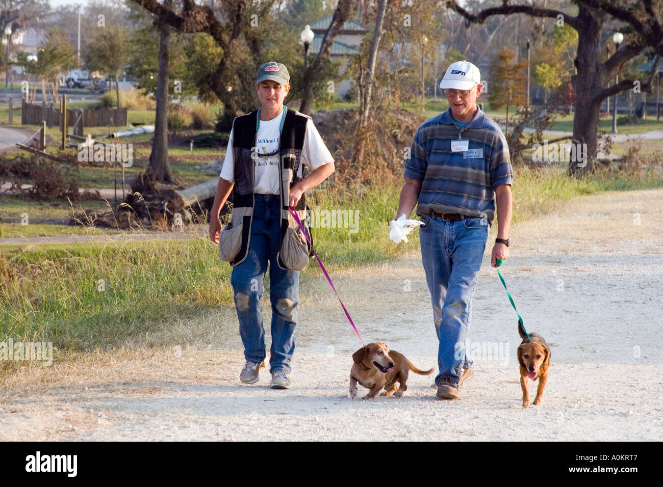 Volunteers walk dogs at an animal shelter run by Noah s Wish in Slidell Louisiana during the aftermath of Hurricane Katrina Stock Photo