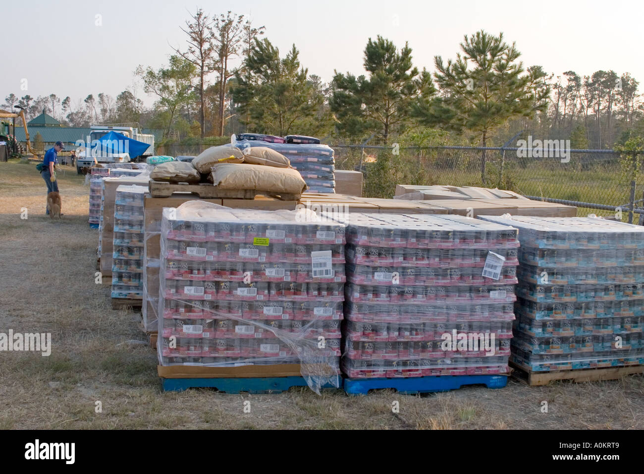 Pallets of pet food donated by corporations to the Noah s Wish emergency animal shelter in Slidell Louisiana Stock Photo