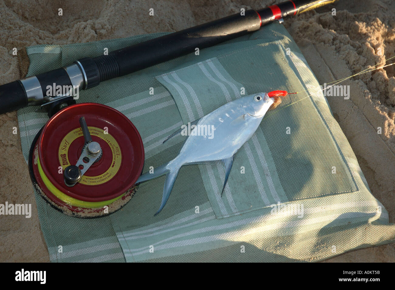 alvey surf rod