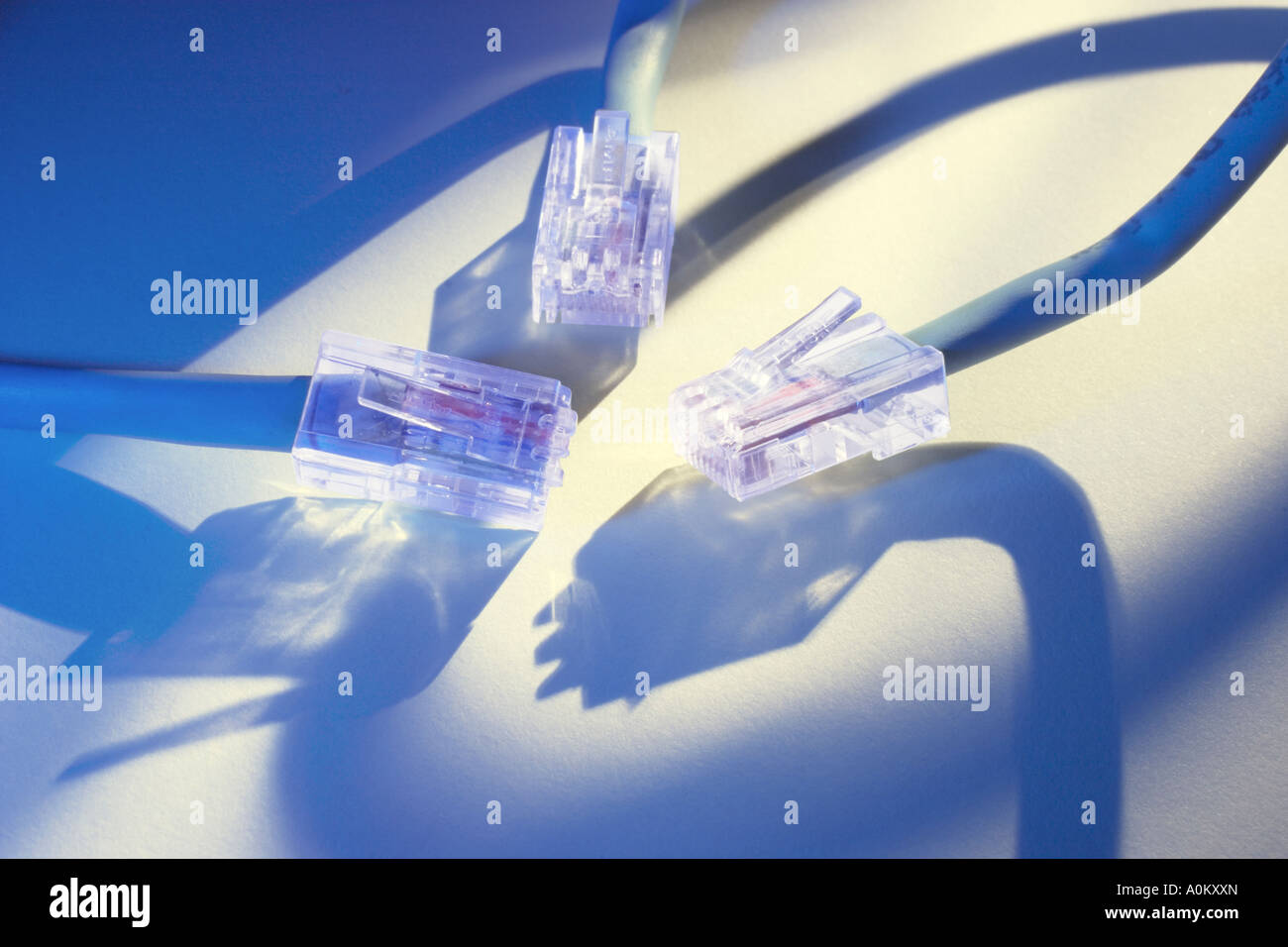 Computer Network Cables Stock Photo - Alamy