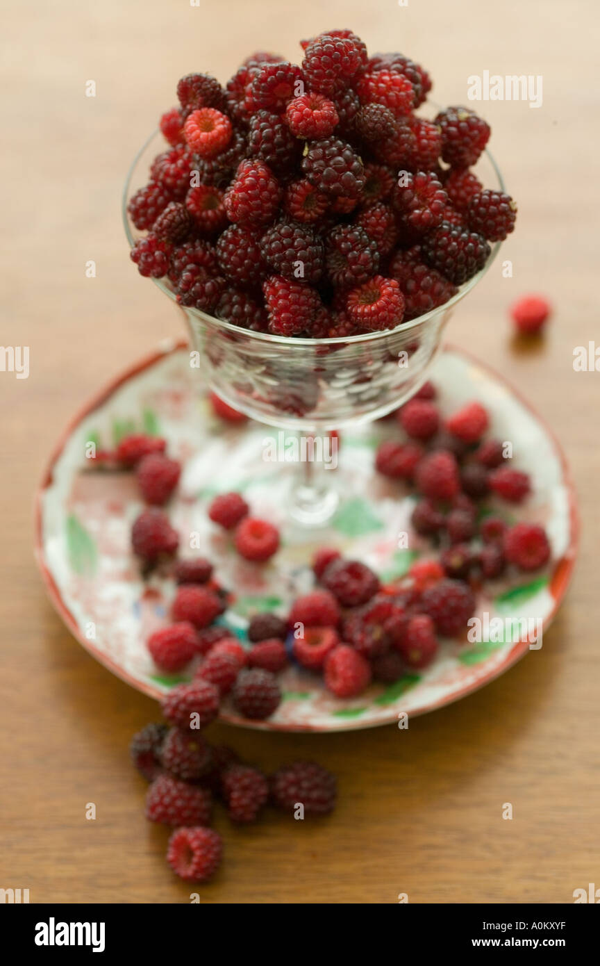 still life with plate glass and japanese wineberries Stock Photo
