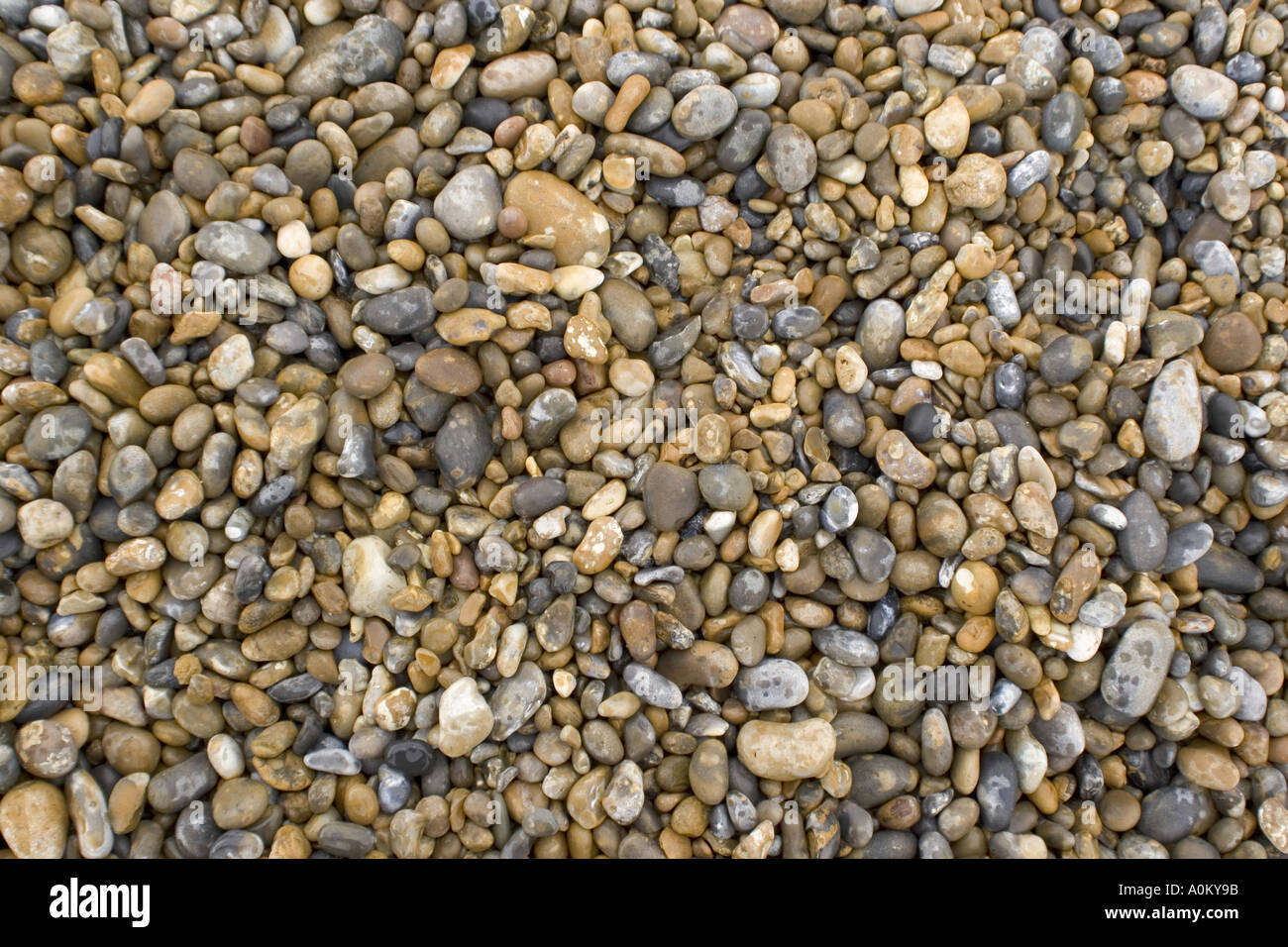 Shingle pebbles patten stones gravel grit Stock Photo Alamy