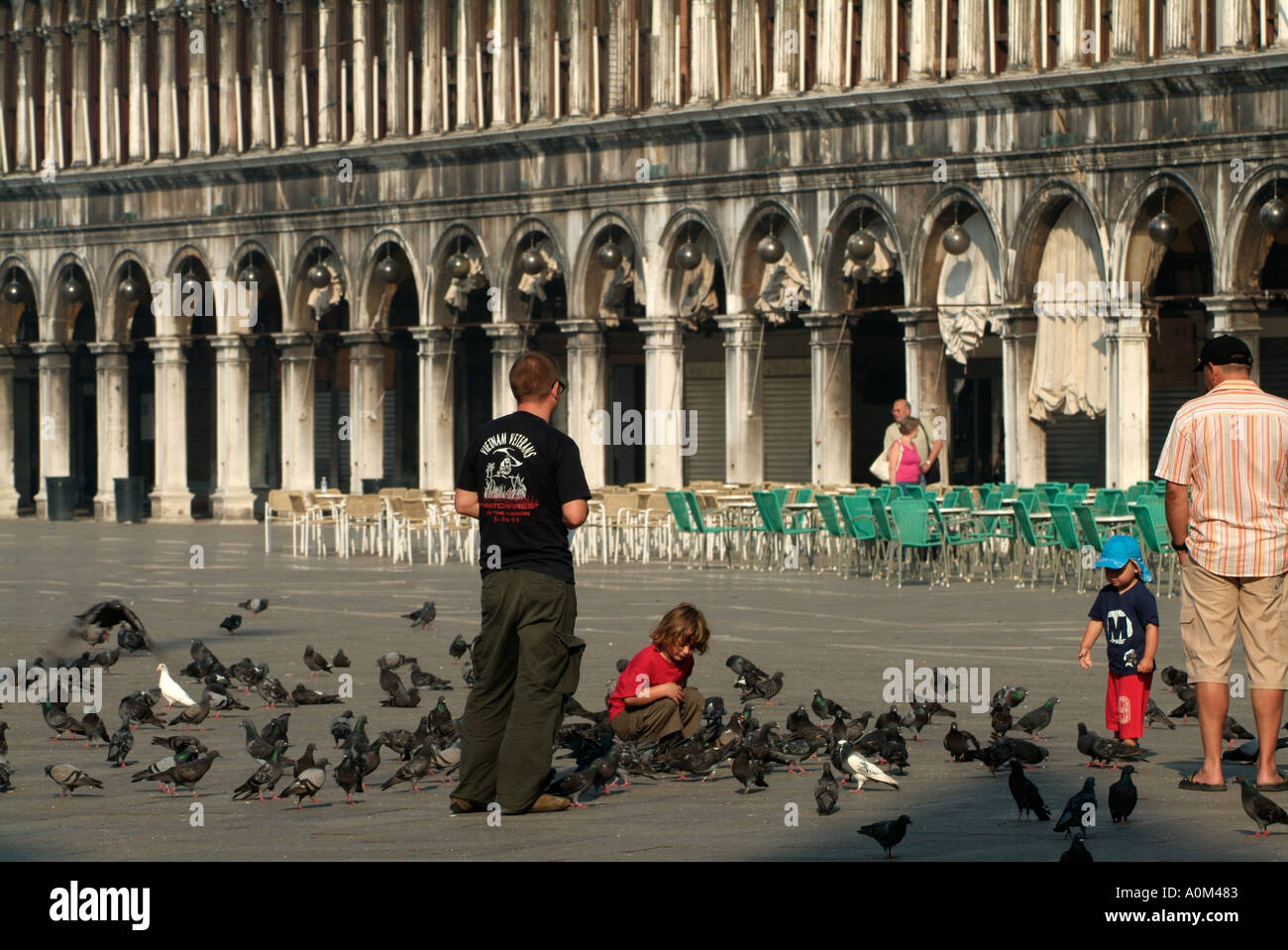 Feeding the pigeons Piazza San Marco Venice Venezia Italy Stock Photo Alamy