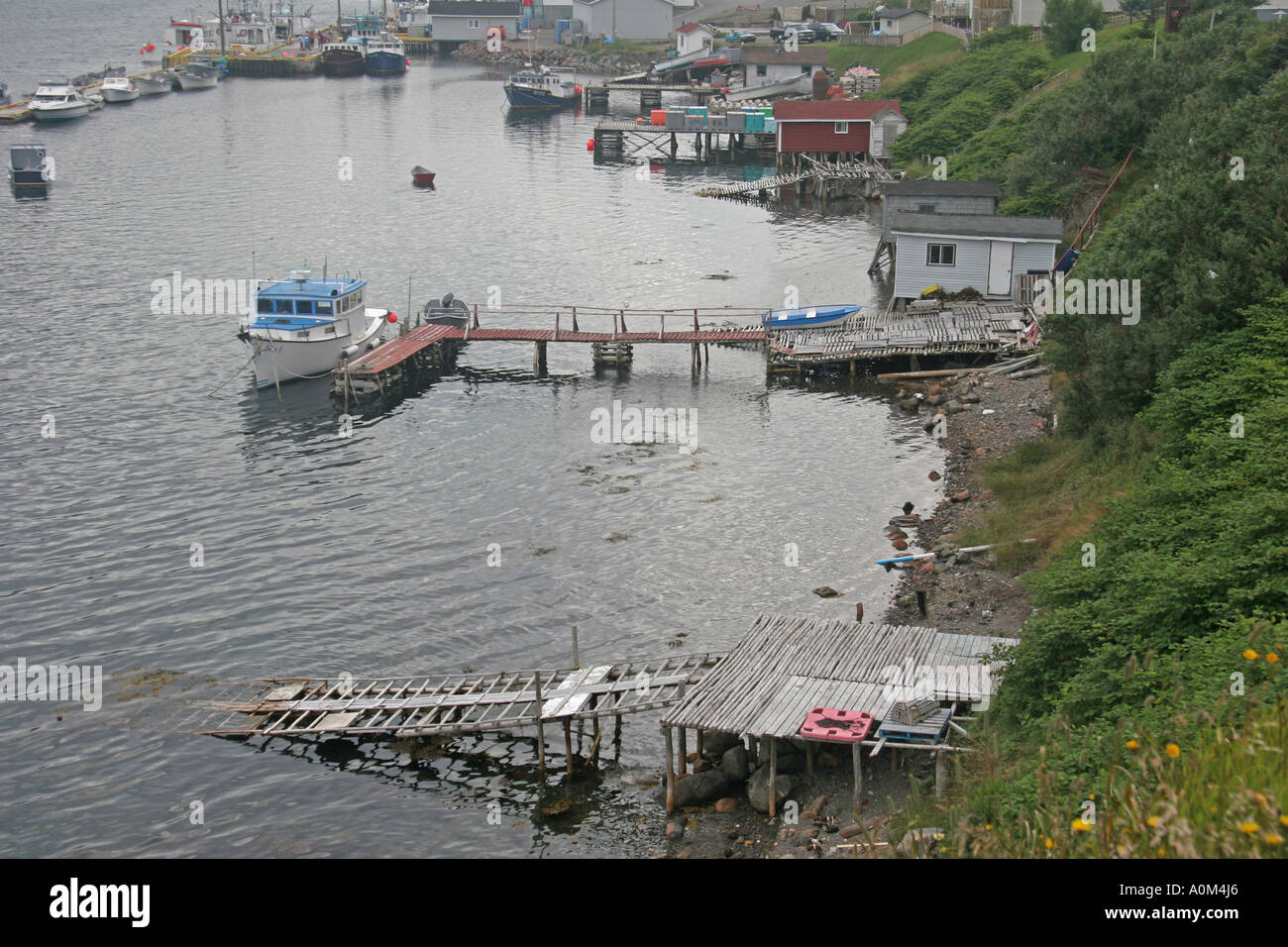 Waterfront scene at Harbour Breton Newfoundland Stock Photo Alamy