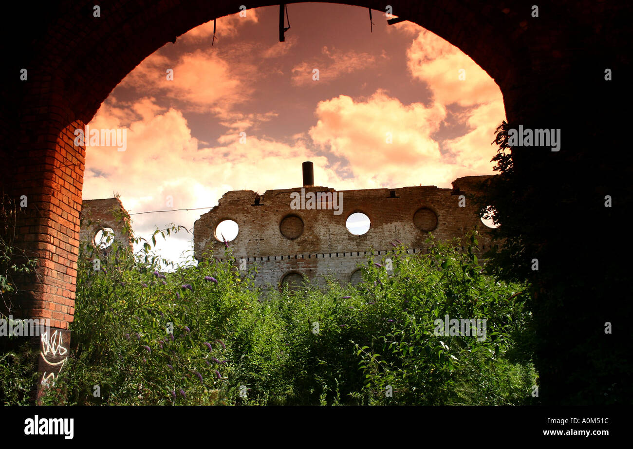 Overgrown plants building hi-res stock photography and images - Alamy