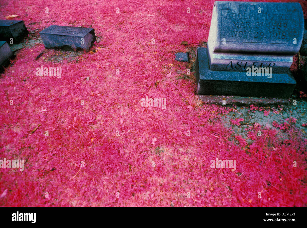 infrared color grave graveyard cemetery monument asleep epitah death