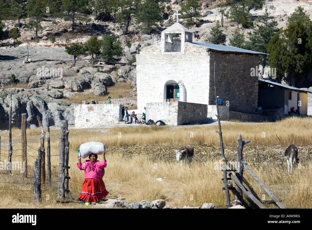 Tarahumara woman carrying goods just delivered at Mission San Luis Majimachi in the Sierra Tarahumara near Copper Canyon Stock Photo
