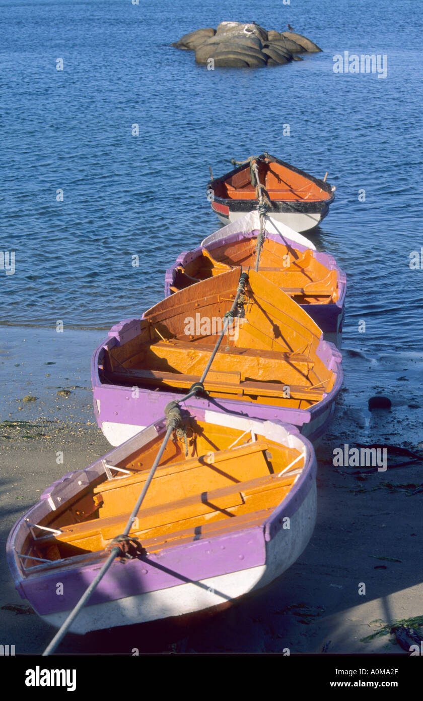 Four row boats hi-res stock photography and images - Alamy