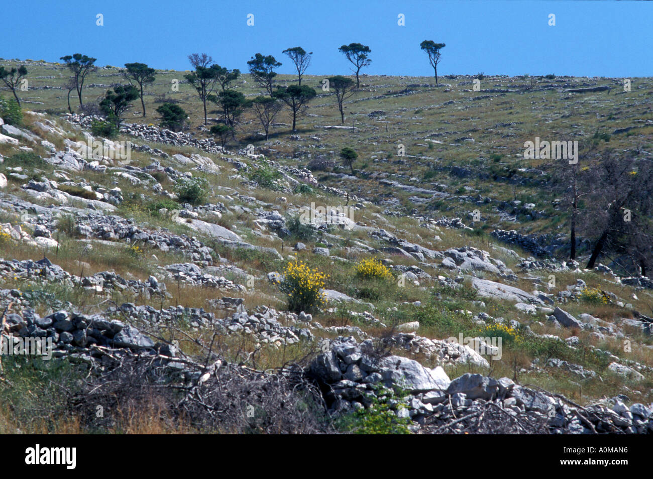 Trogir, Croatia: Dalmatian foothills Stock Photo