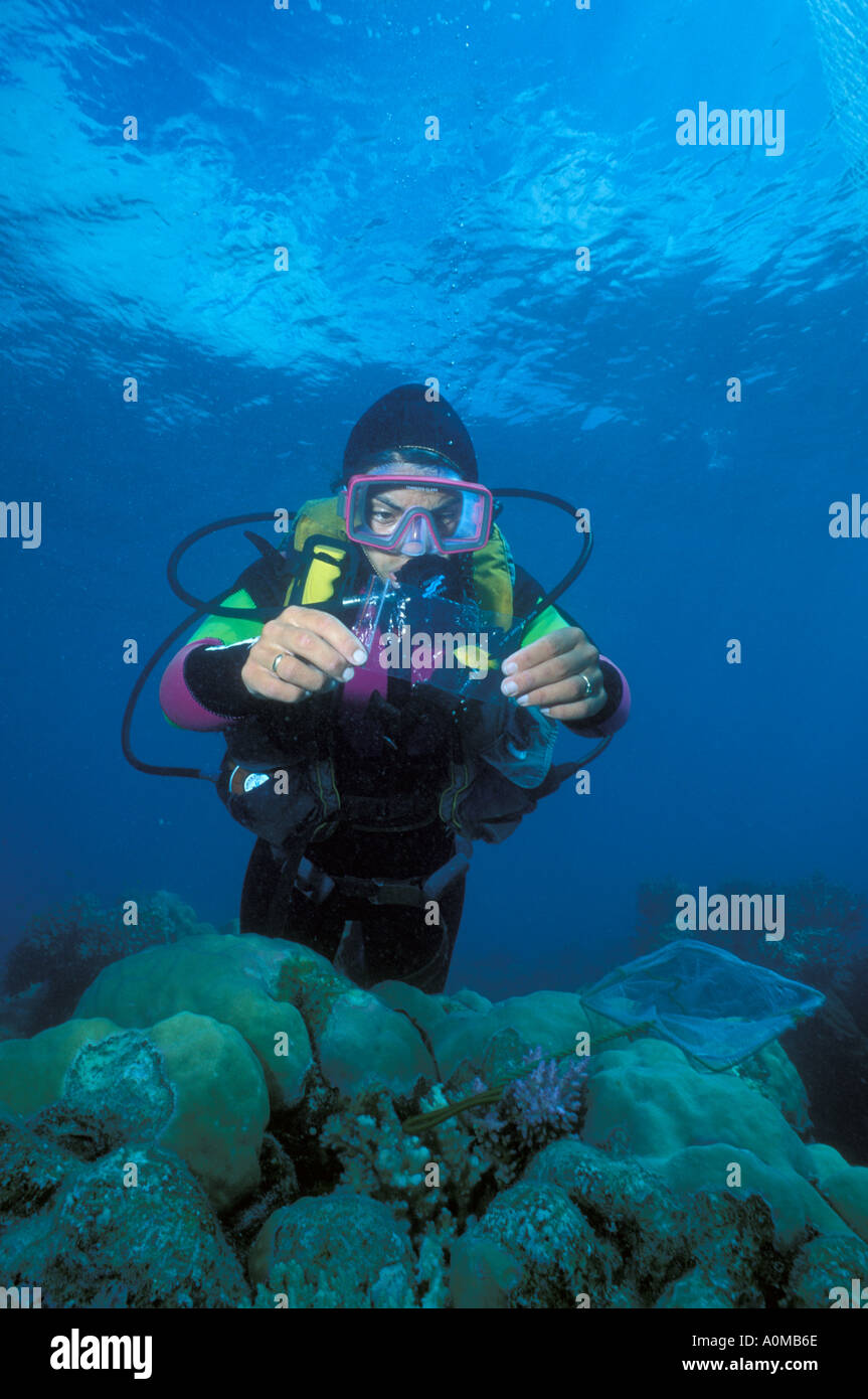 Female marine biologist hi-res stock photography and images - Alamy