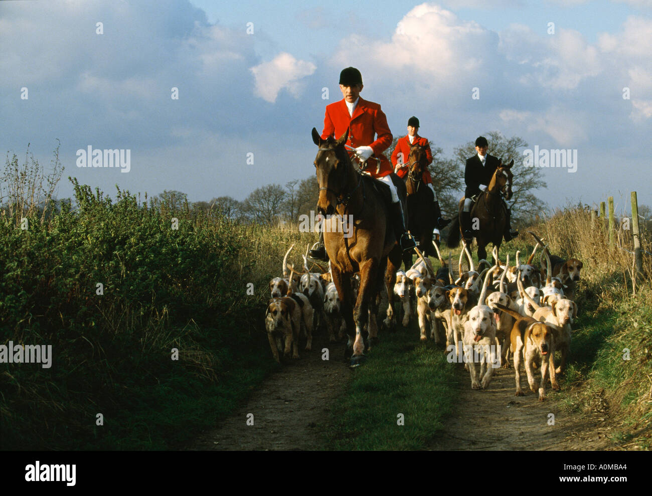 Foxhunting The Quorn hunt in Leicestershire England Stock Photo