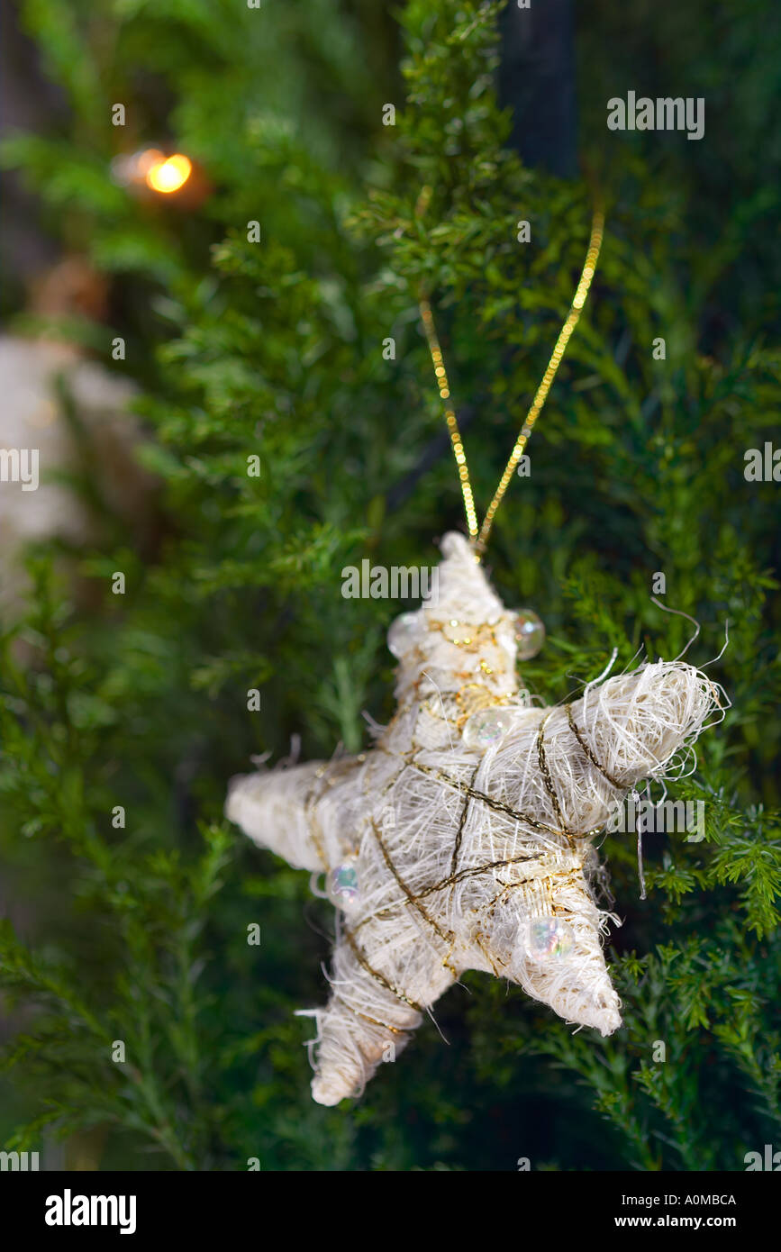 Christmas decoration star hanging from a branch Stock Photo - Alamy
