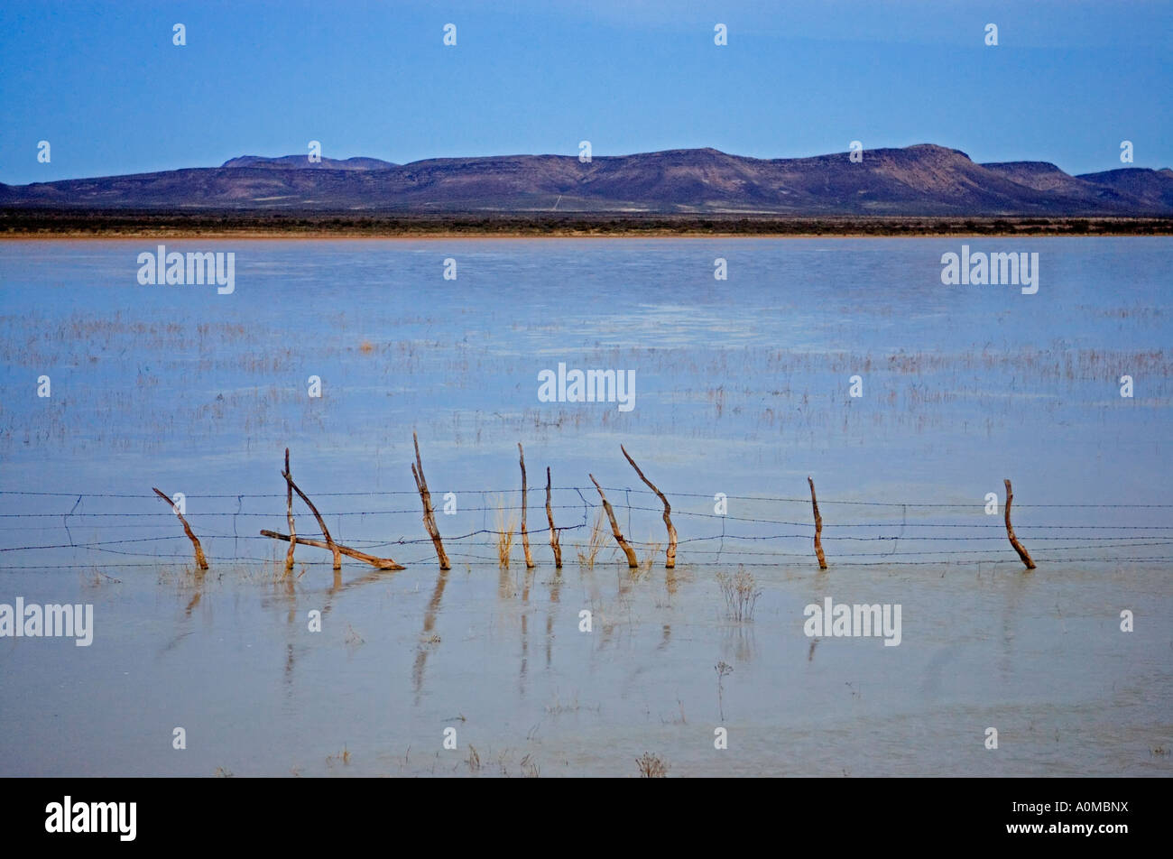 Lagoon near Ciudad Camargo Chihuahua in the northern tip of the