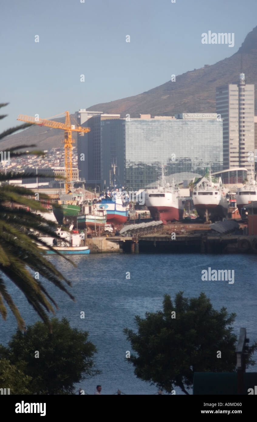 View of Table Bay in Cape Town South Africa through trees with boats buildings and hills visible in the background Stock Photo