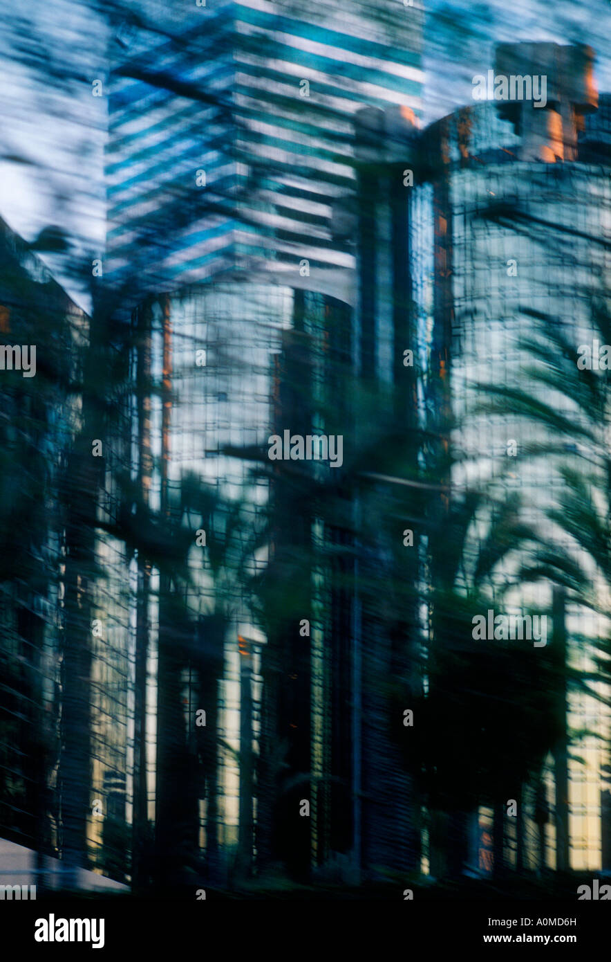 Palm trees modern buildings hi-res stock photography and images - Alamy