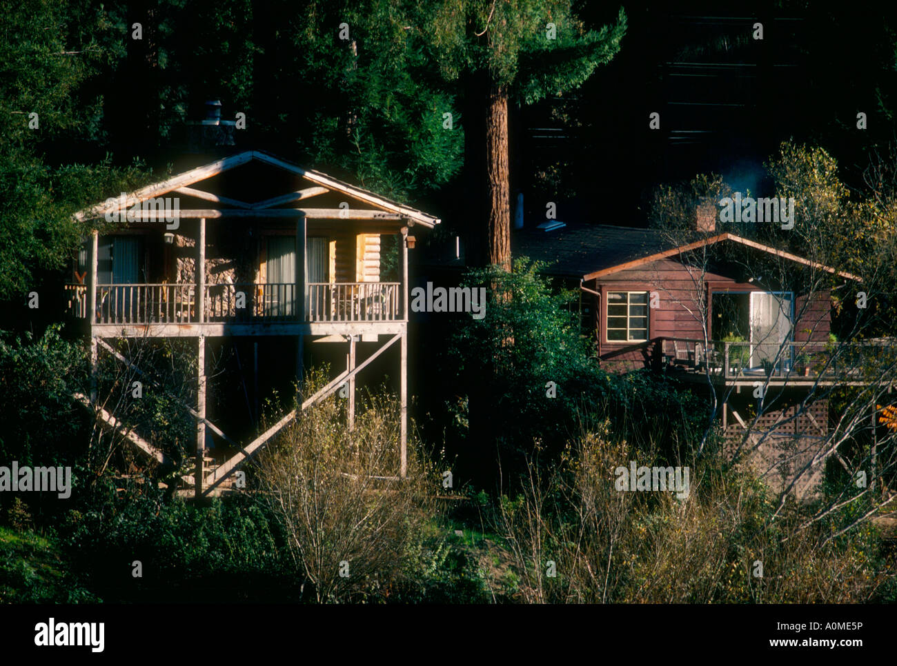 Rural houses in the thick woods along the Russian River, Guernville