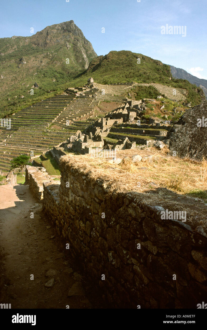 Peru Machu Picchu Inca terracing Stock Photo - Alamy